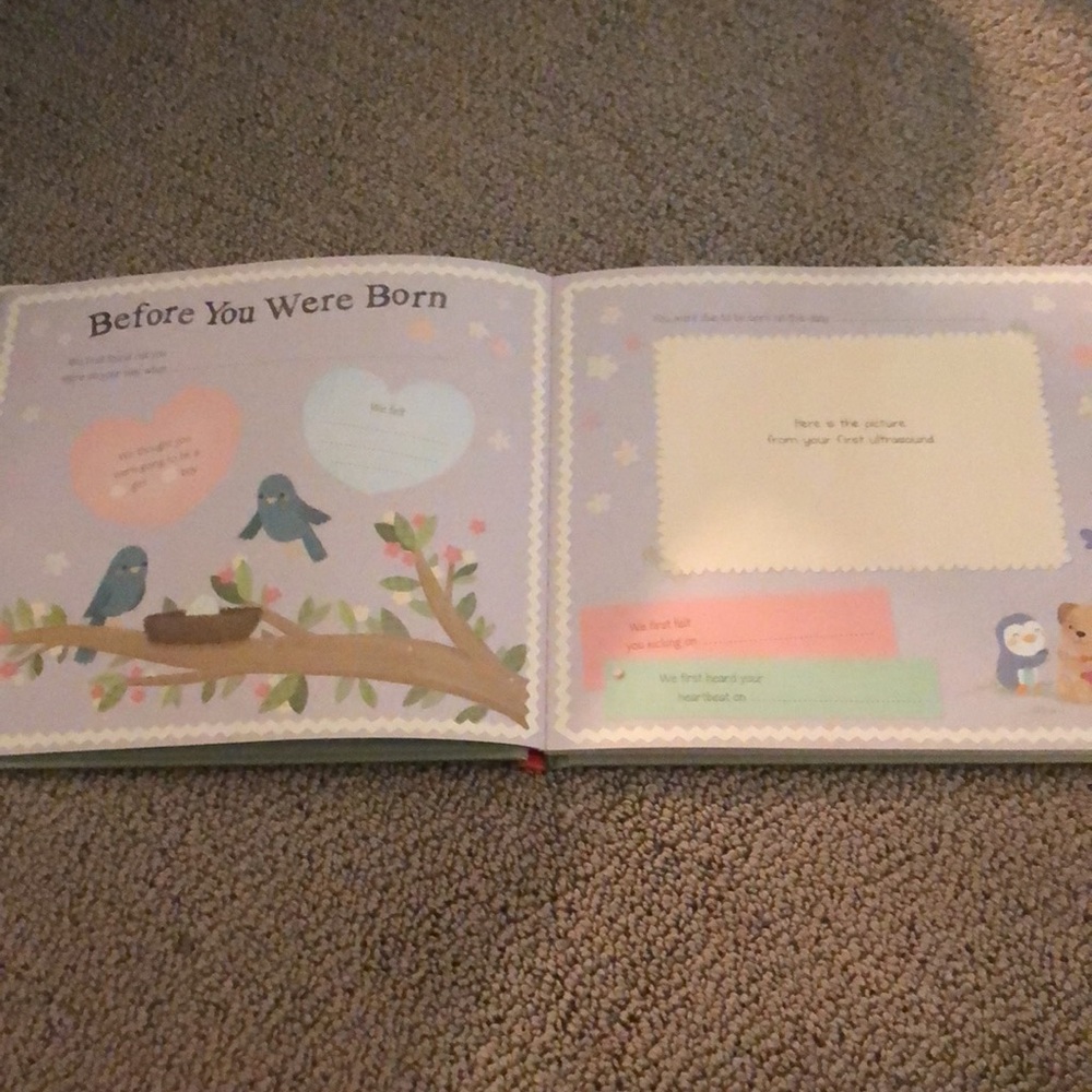 Baby record book - Picture 2 of 5